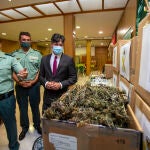 La Guardia Civil presenta la 'operación Illan', con motivo de la incautación de plantas de marihuana en la comarca del Valle del Tiétar