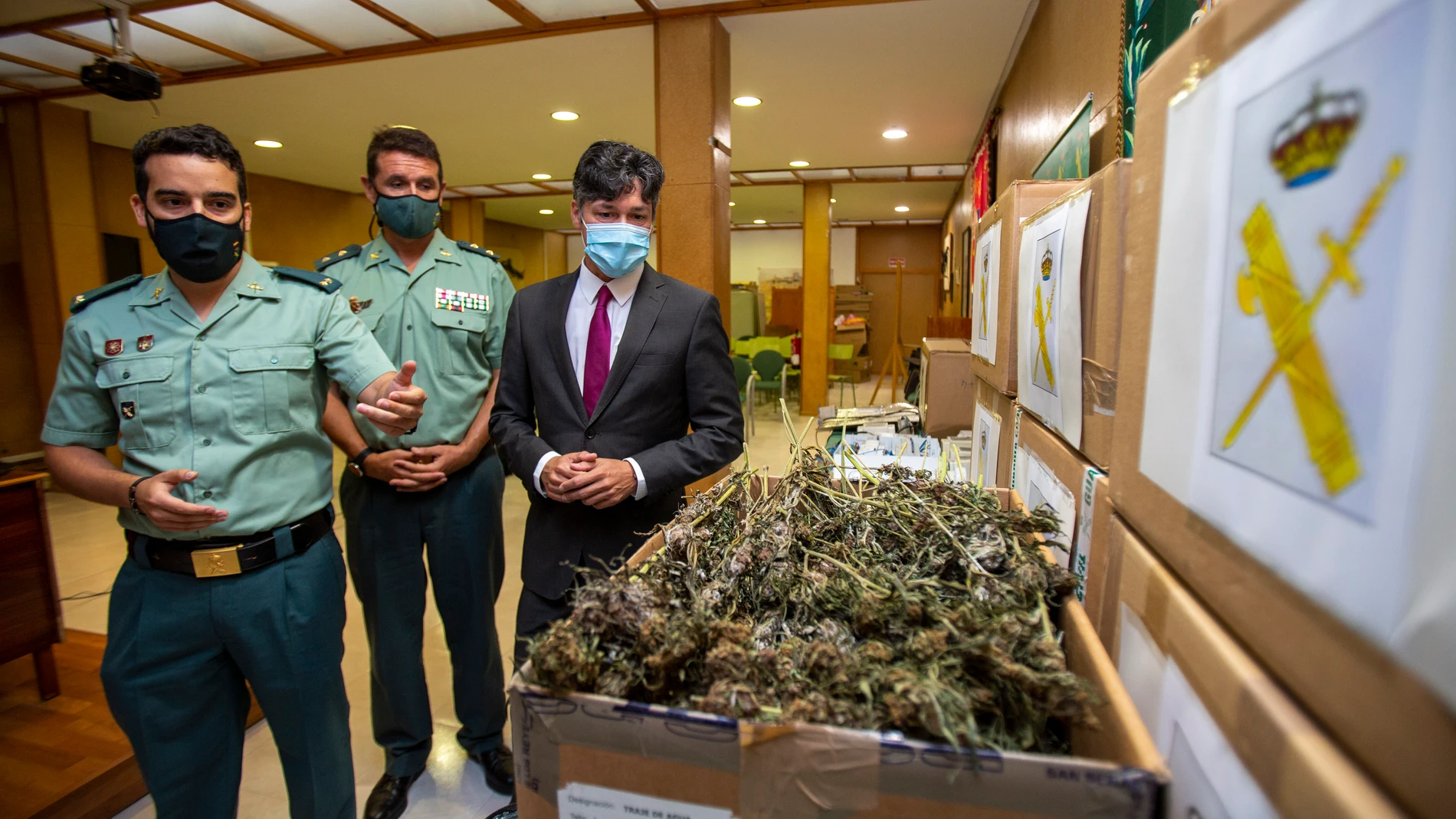 La Guardia Civil presenta la 'operación Illan', con motivo de la incautación de plantas de marihuana en la comarca del Valle del Tiétar