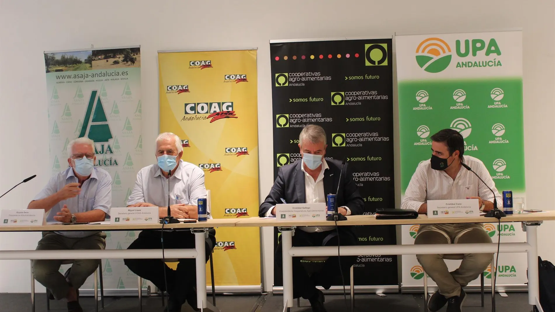 Ricardo Serra (Asaja), Miguel López (COAG), Cristóbal Gallego (Cooperativas Agro-alimentarias de Andalucía) y Cristóbal Cano (UPA), durante la rueda de prensa de este martes