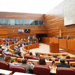 Celebración del Pleno en las Cortes de Castilla y León