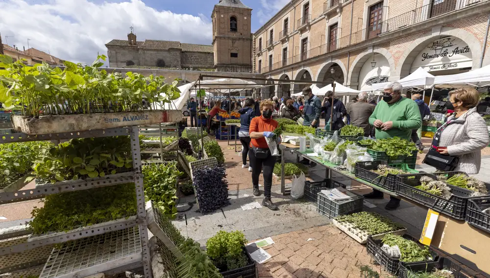 Tradicional mercadillo de frutas y verduras de los viernes, ubicado en la plaza del Mercado Chico, de Ávila