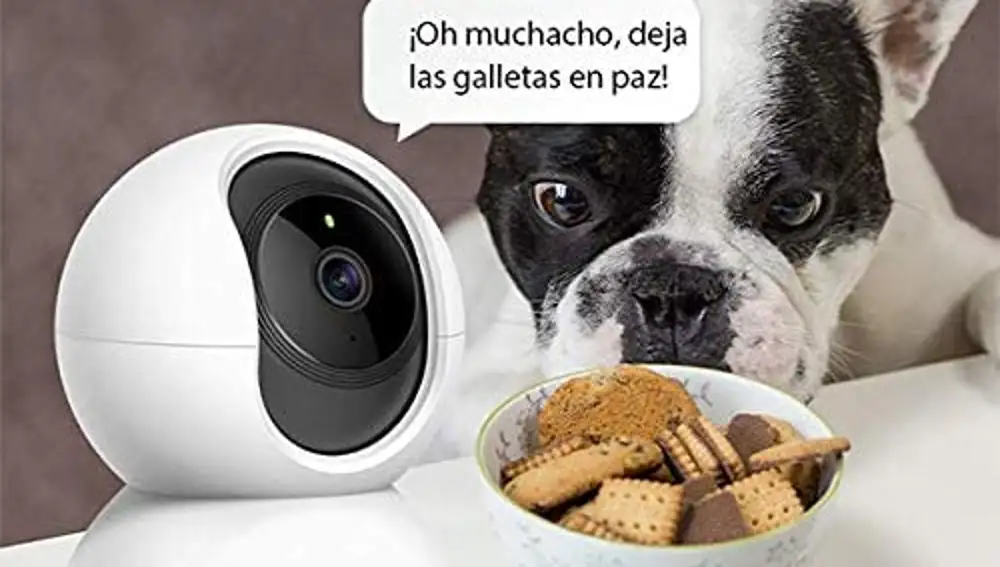 La mejor cámara de vigilancia para casa, según los clientes de Amazon