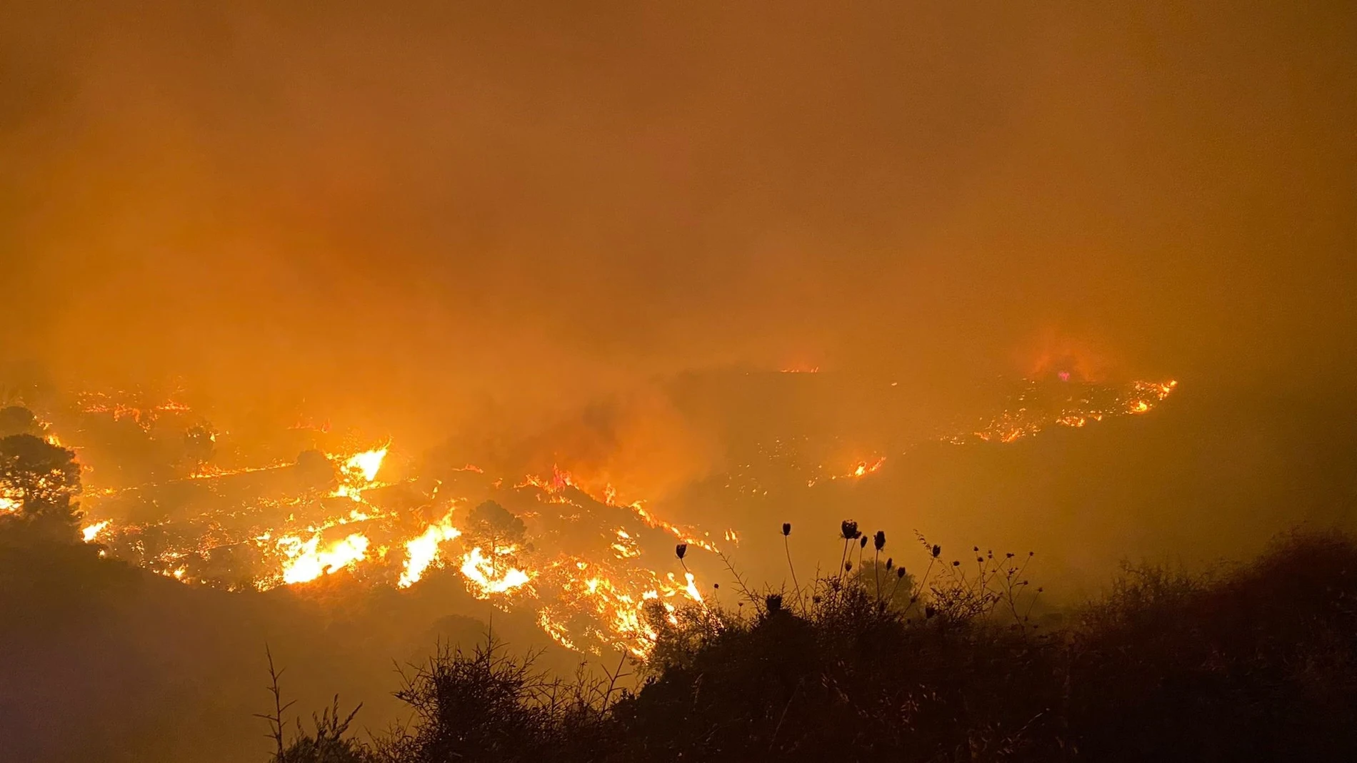 El incendio obligó a cortar la autopista de Málaga
