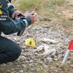 Localización de los cachorros muertos en Burgos