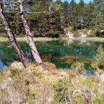 Bosques de Soria