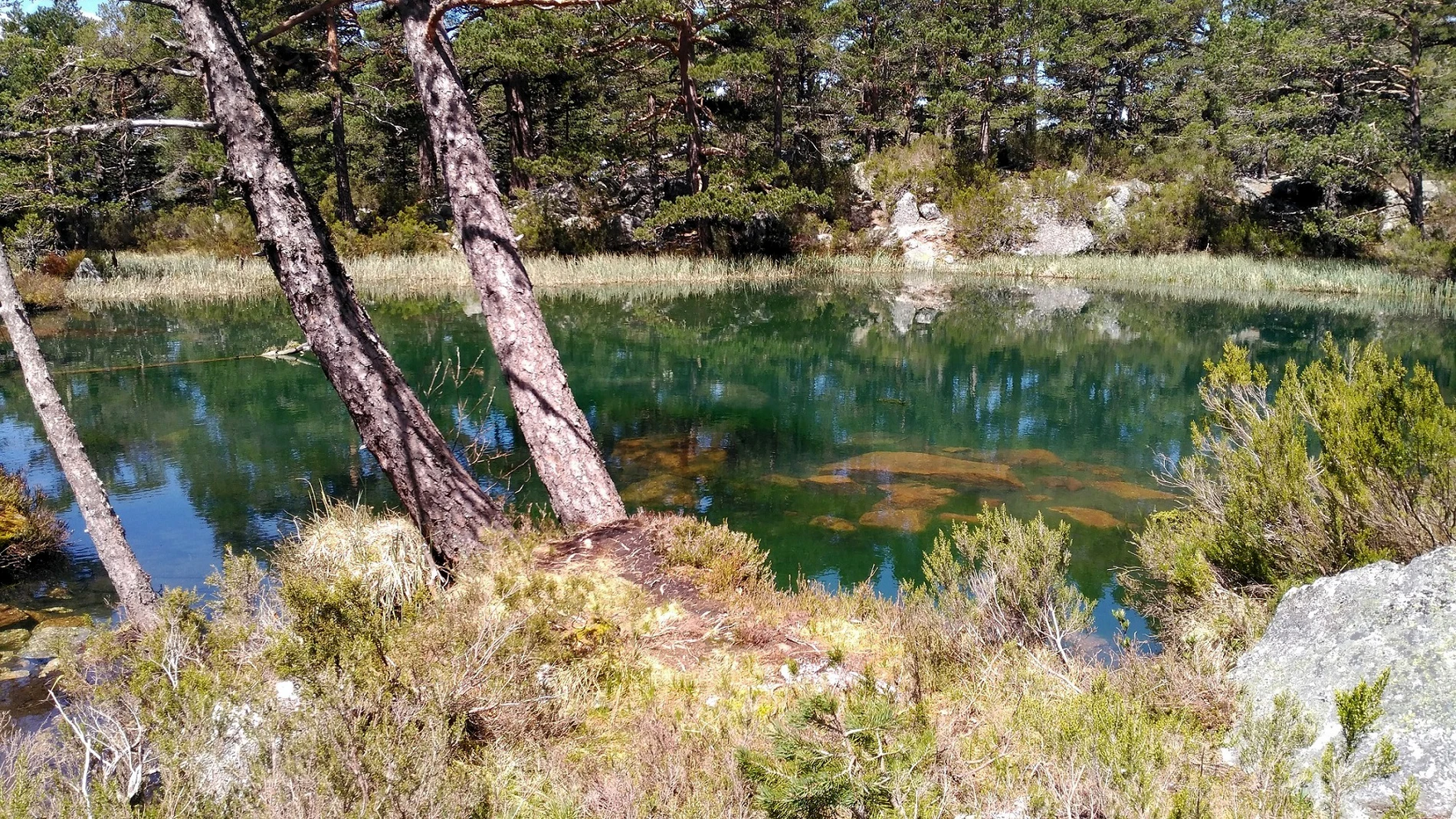 Bosques de Soria