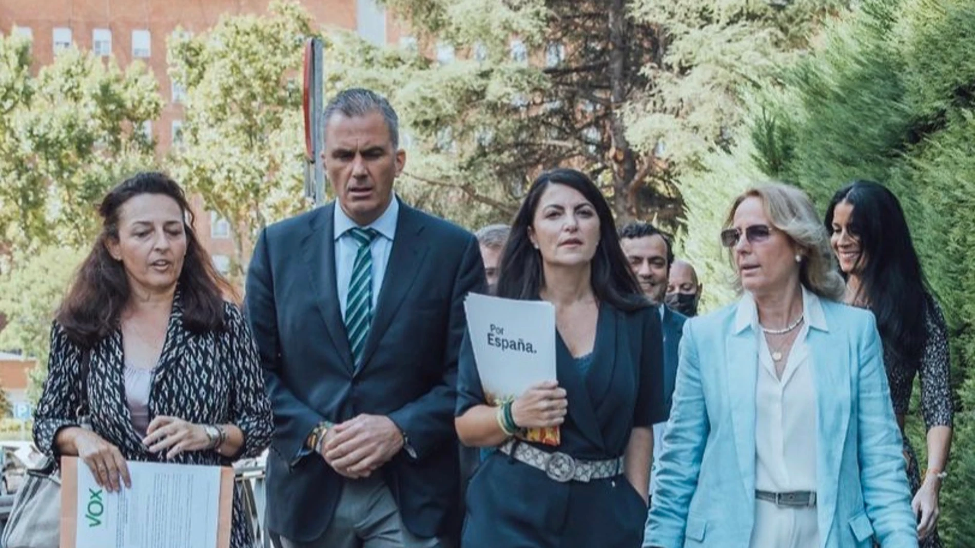 Macarena Olona y diputados de Vox a las puertas del Tribunal Constitucional