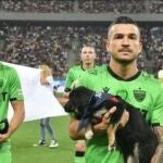 El fútbol rumano quiere salvar a los perros callejeros
