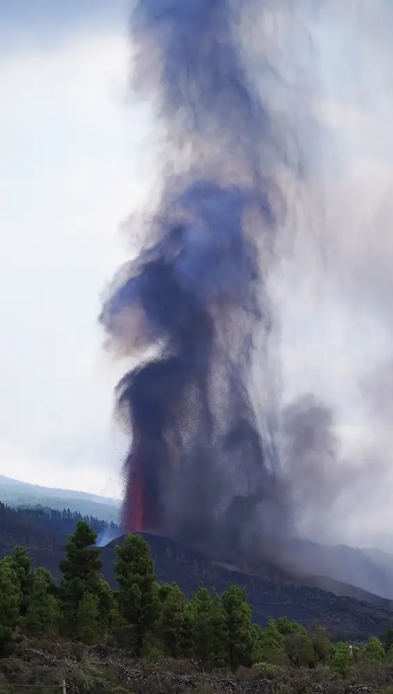 Volcán de La Palma: La lava entra en Todoque y se traga todo a su paso: &quot; Perdemos el trabajo de toda la vida”