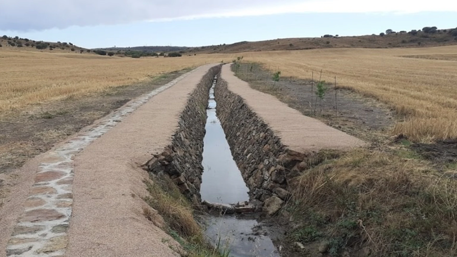 Humedal del nacimiento del río Jalón recuperado.AYUNTAMIENTO DE ARCOS DE JALÓN23/09/2021