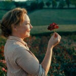 Película "Entre rosas"
