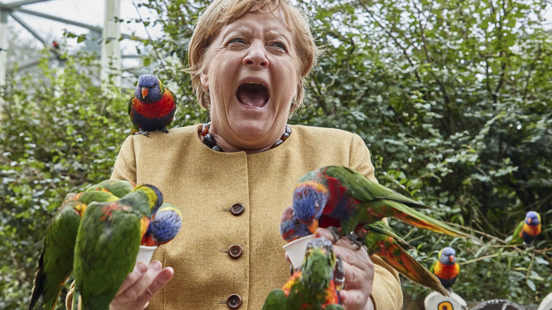 German Chancellor Angela Merkel feeds Australian lorikeets at Marlow Bird Park in Marlow, Germany, Thursday Sept. 23, 2021. (Georg Wendt/dpa via AP)
