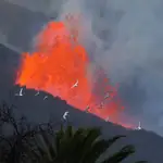 Las palomas vuelan al amanecer frente a la lava y el humo, tras la erupción de un volcán en la isla canaria de La Palma