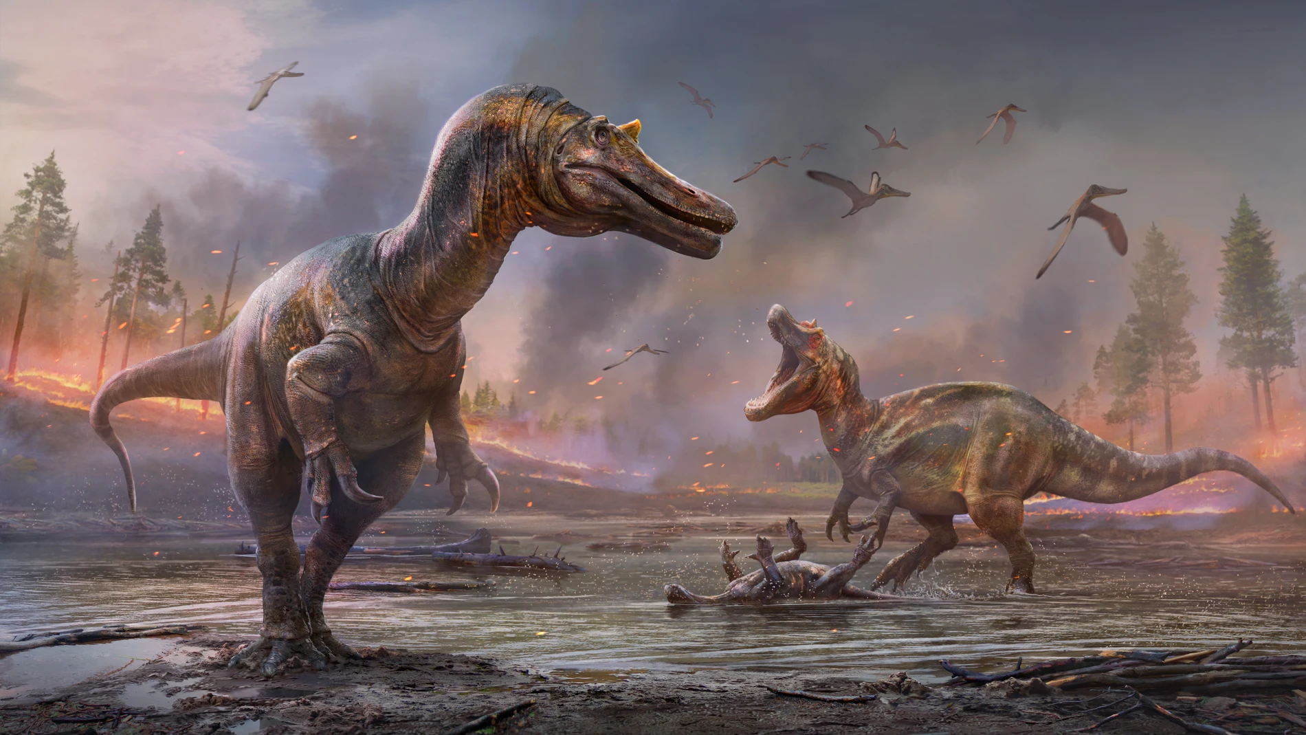 Aparecen dos nuevos parientes del espinosaurio bajo la isla de los  dinosaurios