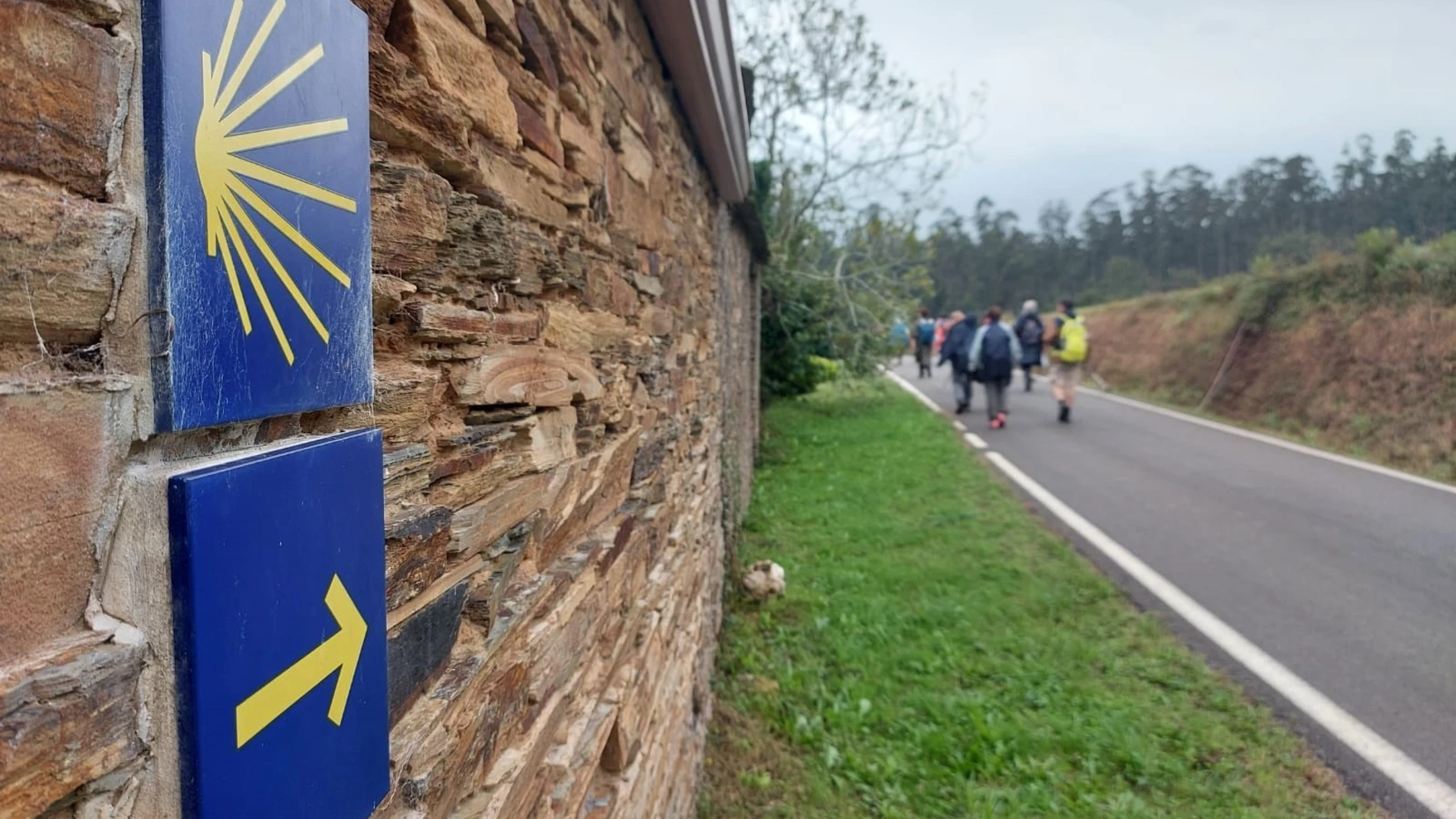 Detalle de un tramo del Camino de Santiago