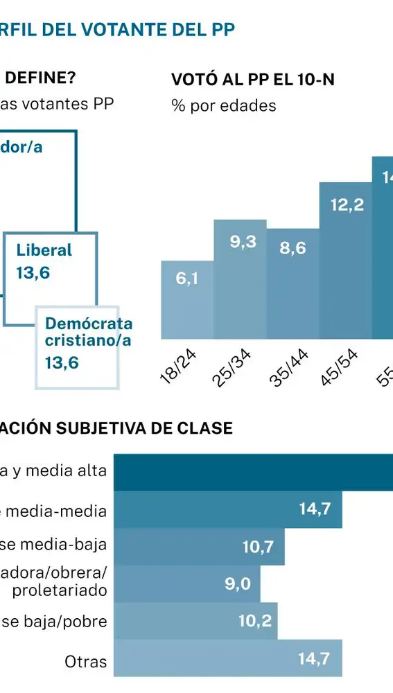 Perfil del votante del PP