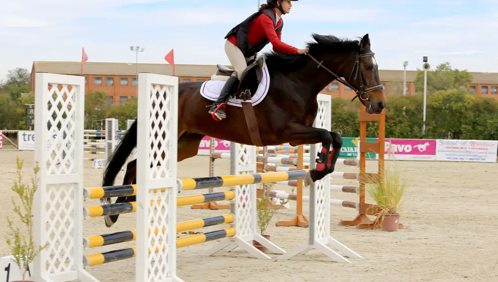 Campeonato de Castilla y León y la Copa Federación Hípica de Castilla y León