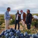 El consejero Jesús Julio Carnero visita la bodega Cuatro Mil Cepas