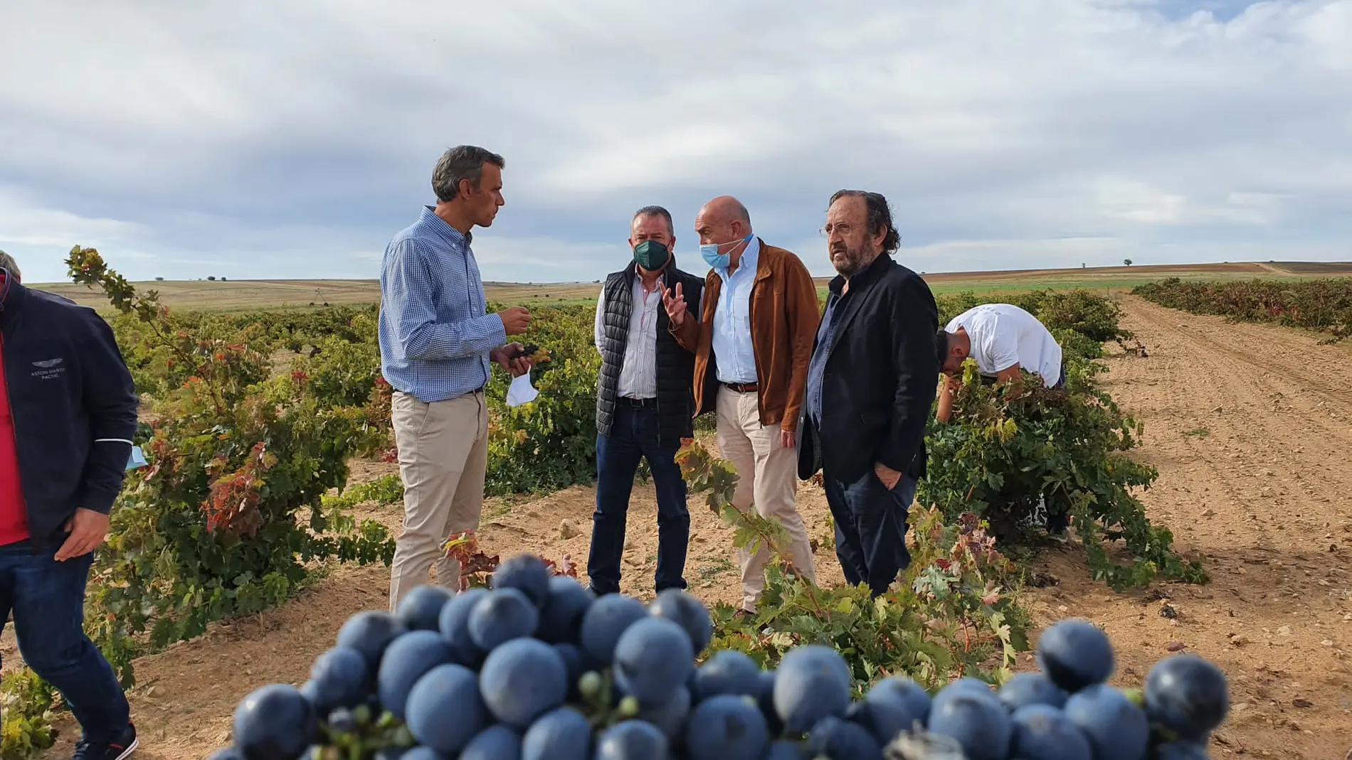 El consejero Jesús Julio Carnero visita la bodega Cuatro Mil Cepas