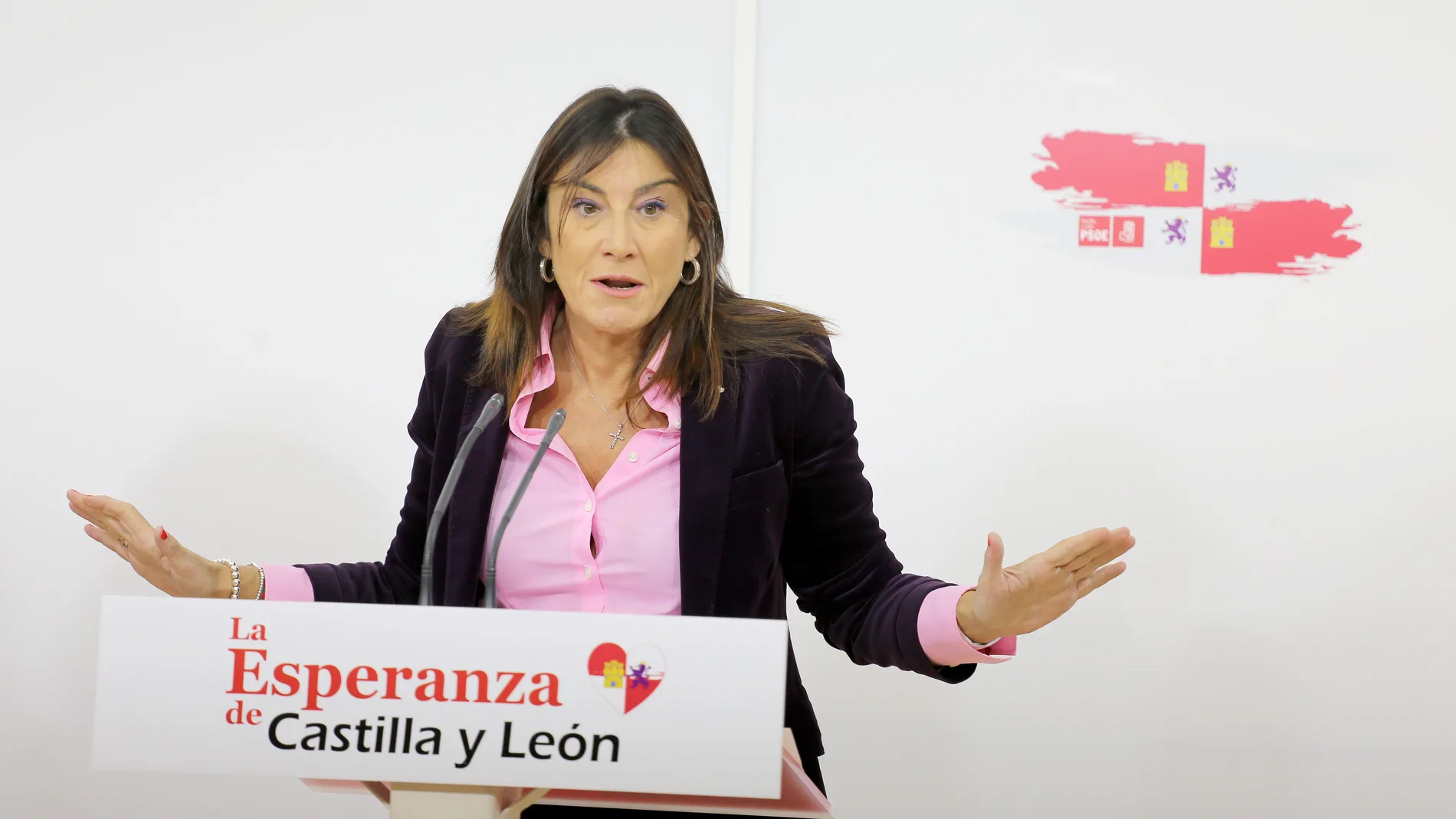 La secretaria de Organización del PSOECyL, Ana Sánchez, atiende a la prensa