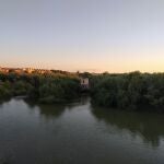 La vegetación cubre buena parte del cauce del río Guadalquivir
