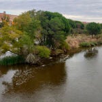 Manchas en el agua del río Duero a su paso por Zamora