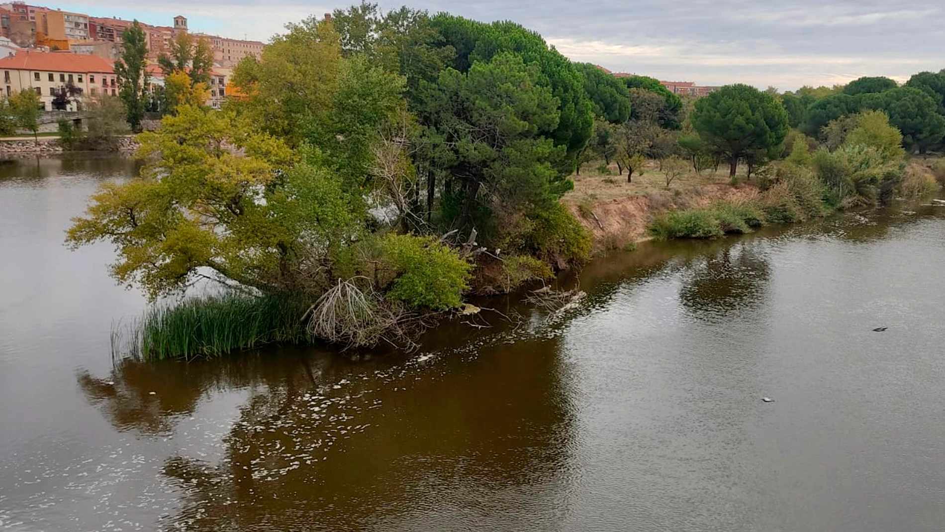 Manchas en el agua del río Duero a su paso por Zamora