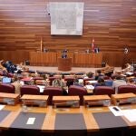 Pleno de las Cortes
