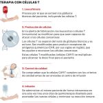 Infografía