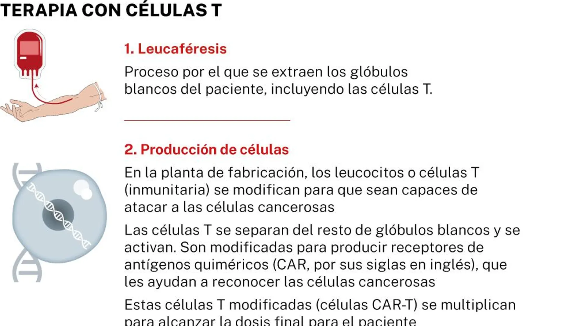 Infografía