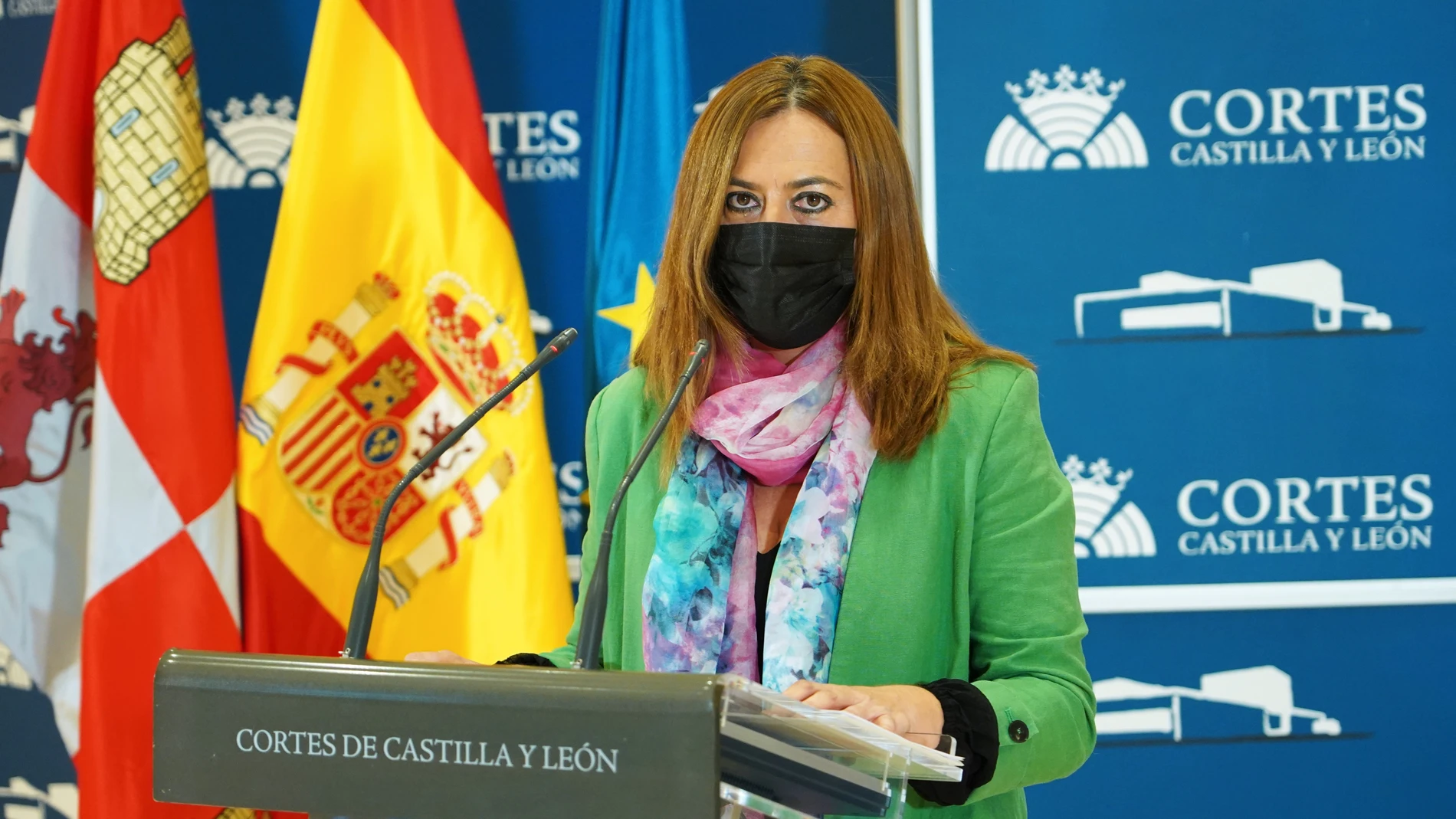 La viceportavoz del Grupo Parlamentario Socialista, Virginia Barcones, analiza el futuro de la ordenación dle territorio en la Comunidad
