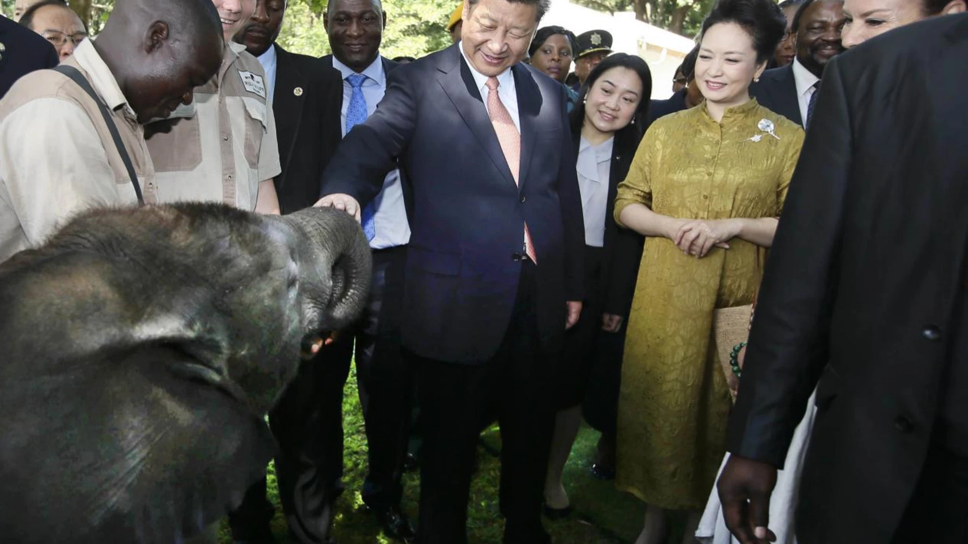 El presidente chino, Xi Jinping (centro), y su esposa Peng Liyuan visitan un santuario de vida silvestre en Harare, Zimbabwe, el 2 de diciembre de 2015