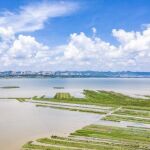 Vista aérea panorámica de la Reserva Natural de Caohai en el distrito autónomo de las etnias yi, hui y miao de Weining, en la provincia suroccidental china de Guizhou, el 7 de julio de 2021.