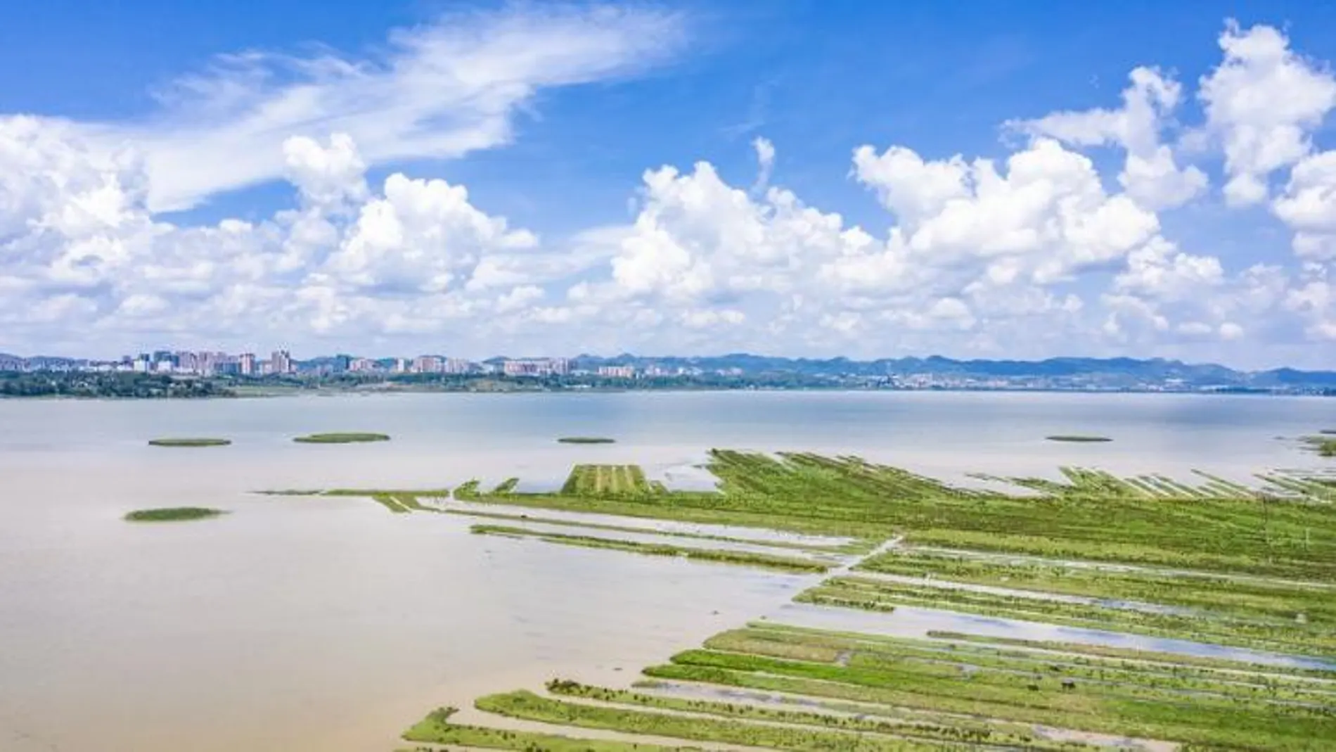 Vista aérea panorámica de la Reserva Natural de Caohai en el distrito autónomo de las etnias yi, hui y miao de Weining, en la provincia suroccidental china de Guizhou, el 7 de julio de 2021.
