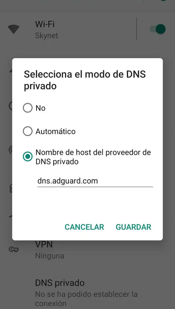 Solo hay que introducir el nombre del DNS que vayas a utilizar.