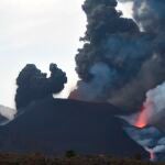 Volcán de la Palma | La misteriosa desaparición de los perros atrapados por la lava en La Palma