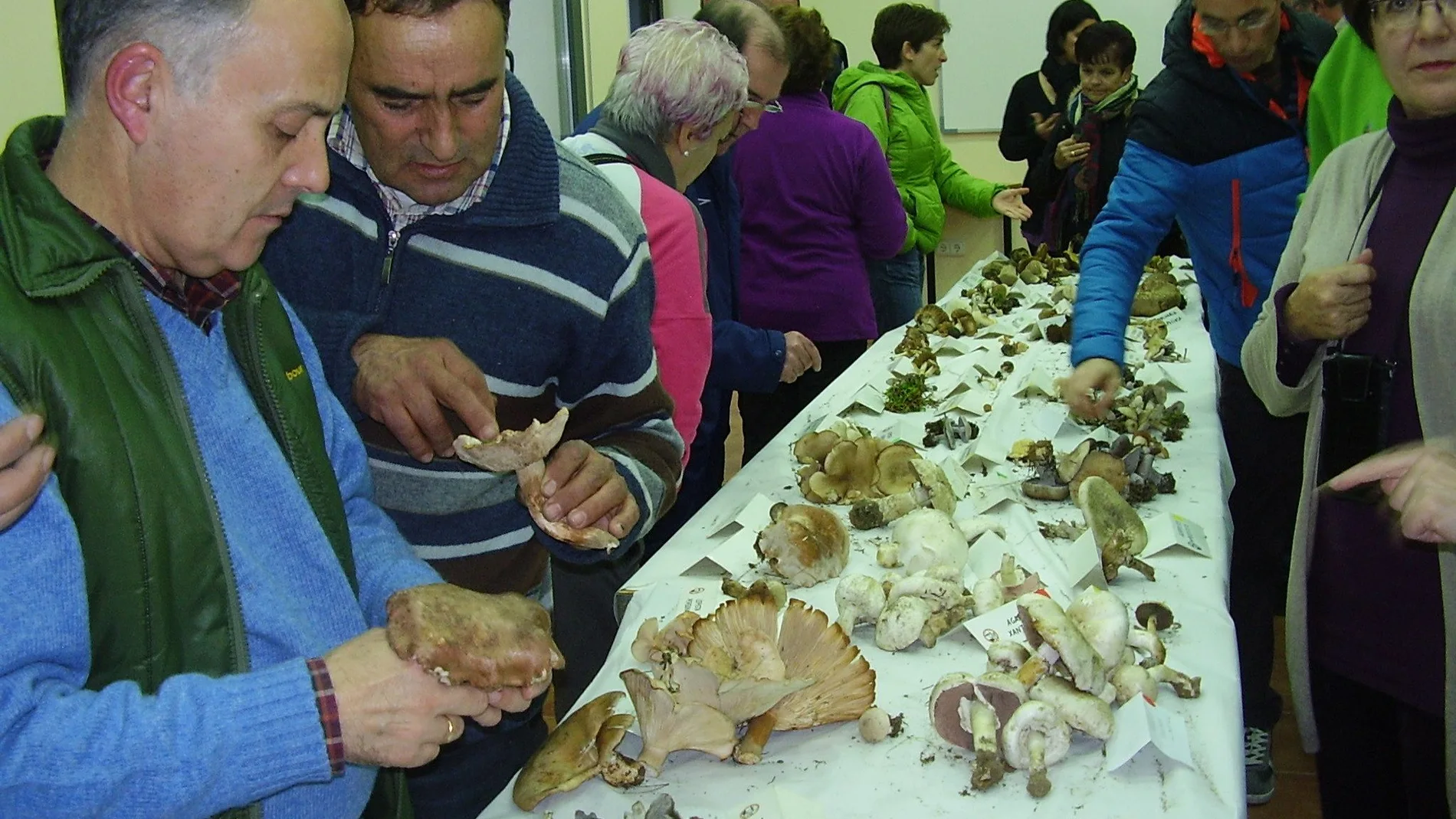 Exposición de setas y hongos recogidos por vecinos de Quintanilla de Arriba, en Valladolid, durante una jornada micológica