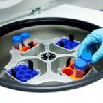 La ciencia busca soluciones para las enfermedades