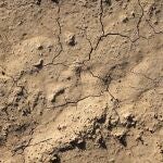 El 74 por ciento del territorio en España está en riesgo de desertificación