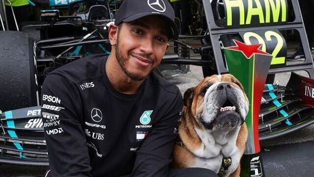 Hamilton, junto a su mascota
