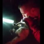 Un militar adopta al gato al que reanimó tras hallarlo asfixiado por las cenizas