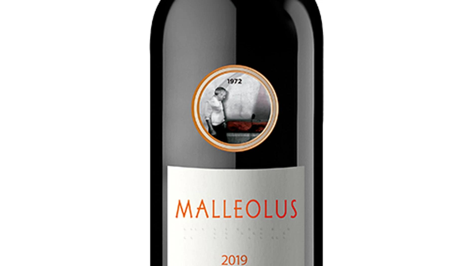 Malleolus 2019