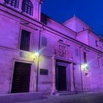 La sede de la Diputación de Zamora se vistió de rosa