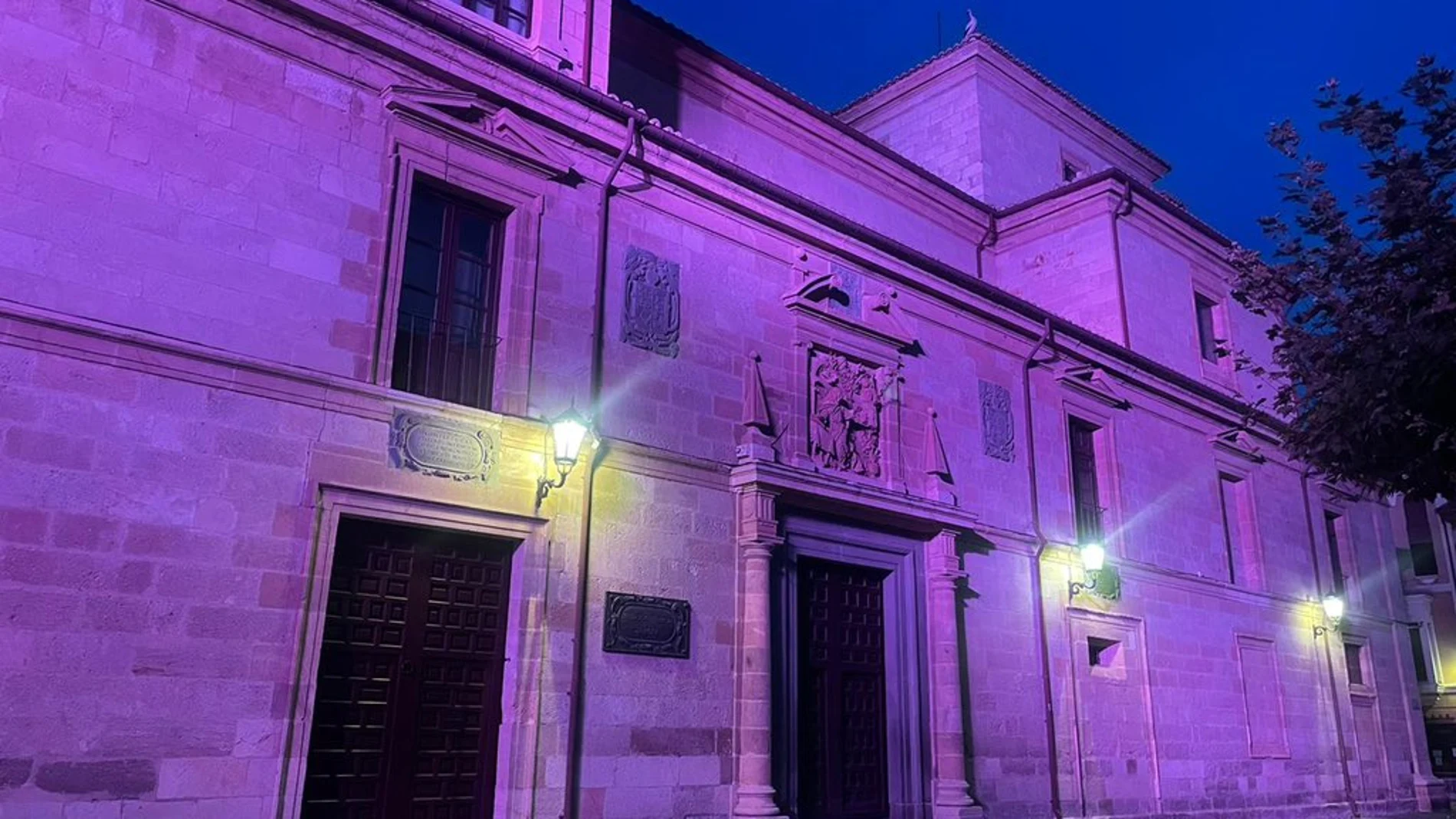 La sede de la Diputación de Zamora se vistió de rosa