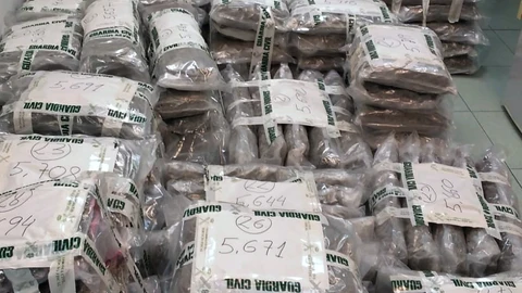 Marihuana incautada