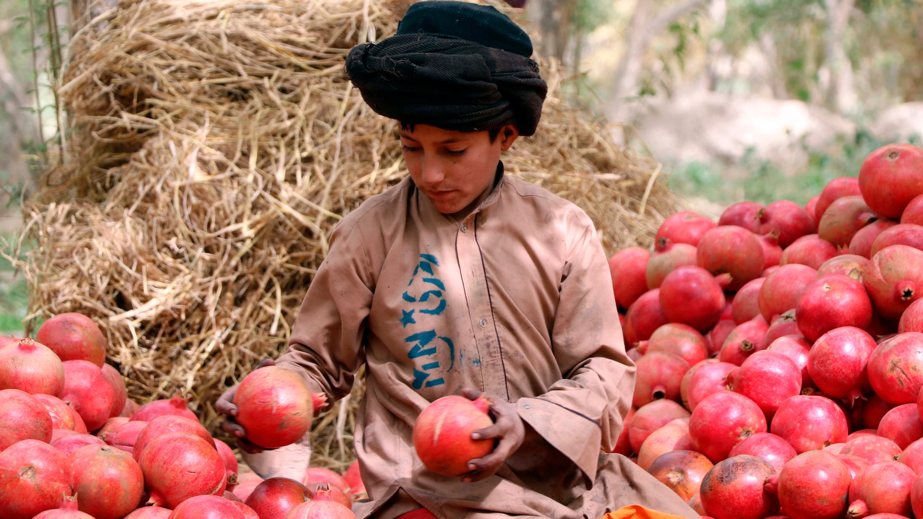 Un informe de la ONU establece que 23 millones de personas afganas, más de la mitad de la población de Afganistán se enfrentará a una inseguridad alimentaria a partir de noviembre.