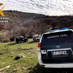 Operación contra el furtivismo en la provincia de Ávila