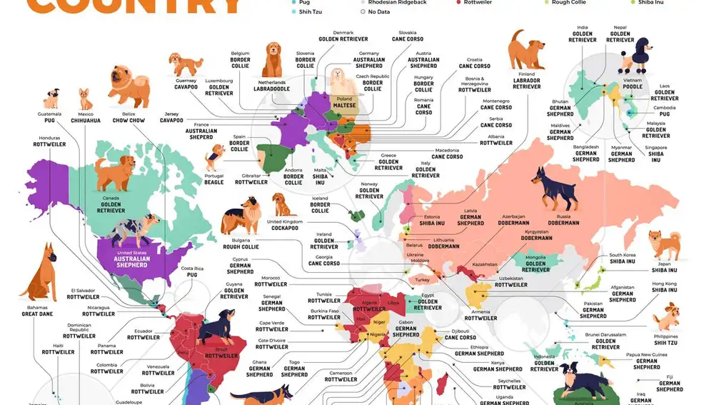 Mapamundi de los perros más buscados en Internet