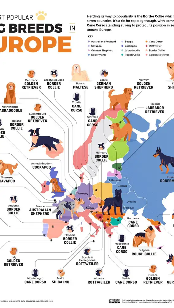 Mapa de Europa de los perros más populares