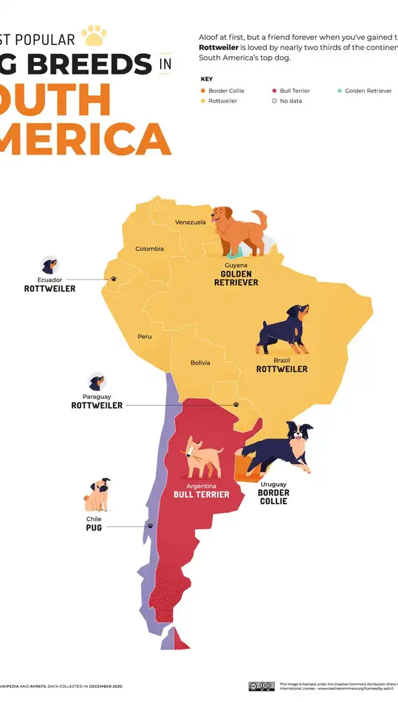 Mapa de Sudamérica de los perros más populares